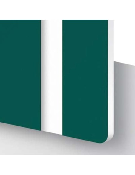 Metacrilato Laminado Bicapa