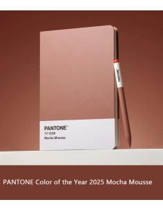 Metacrilat Mocha Mousse 3 mm 2