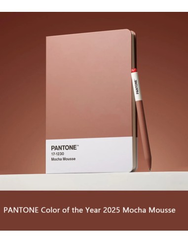 Metacrilato Mocha Mousse 3 mm