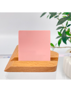 Metacrilat Pastís Carn