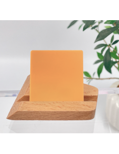 Metacrilato Pastel Calabaza