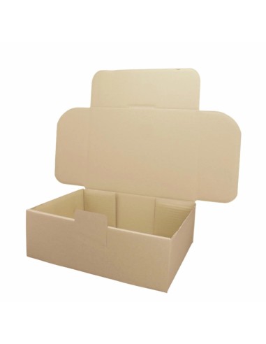 Caja Cartón 310x230x110 mm
