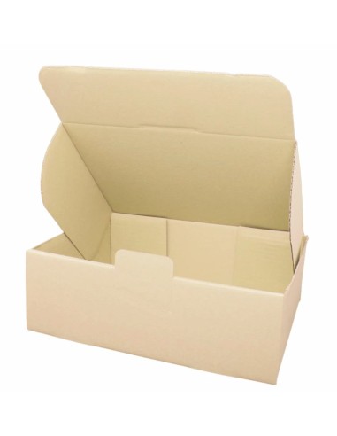 Caja Cartón 310x230x110 mm