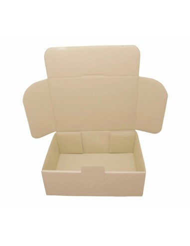 Caja Cartón 310x230x110 mm