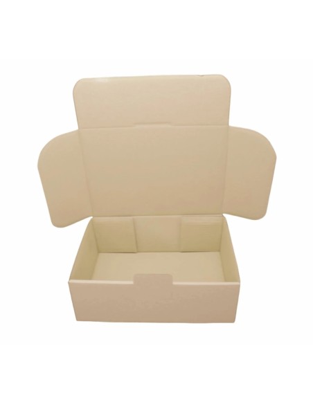 Caja Cartón 310x230x110 mm