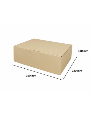 Caja Cartón 310x230x110 mm