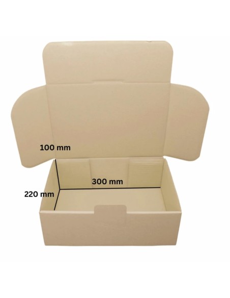 Caja Cartón 310x230x110 mm